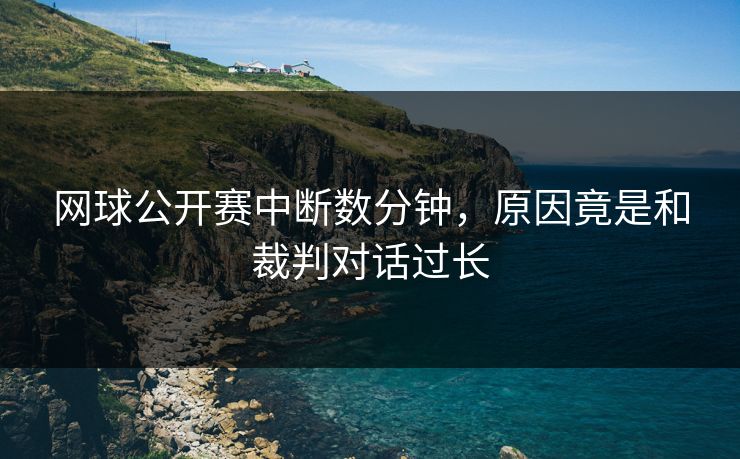 网球公开赛中断数分钟，原因竟是和裁判对话过长
